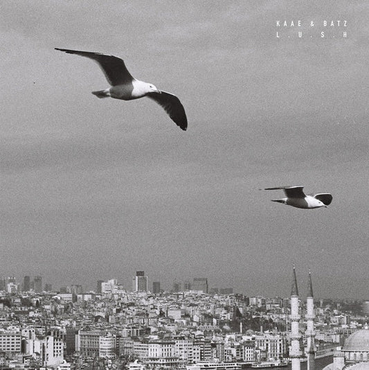 Kaae & Batz - Lush (Vinyl) - Joco Records