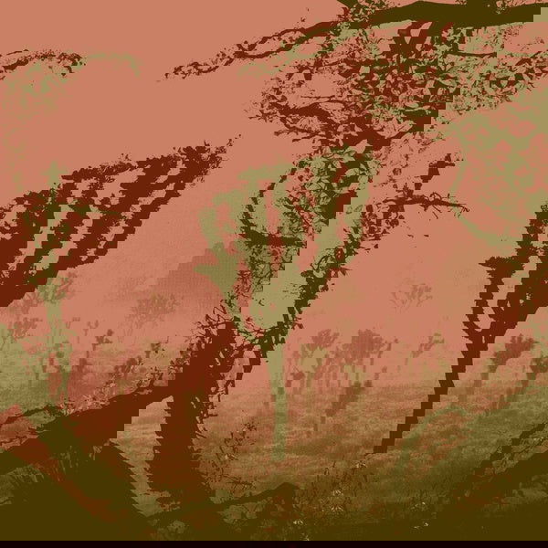 Kettel - My Dogan (Vinyl) - Joco Records