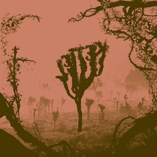 Kettel - My Dogan (Vinyl) - Joco Records