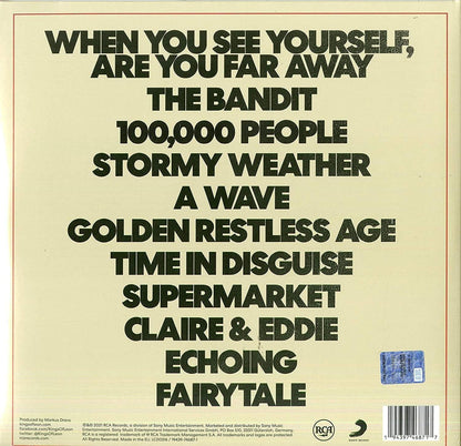 Kings Of Leon - When You See Yourself (Gatefold, 180 Gram) (2 LP) - Joco Records