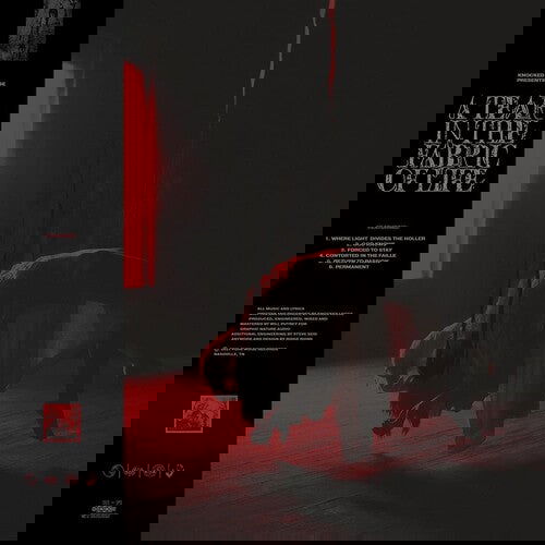 Knocked Loose - A Tear In The Fabric Of Life  (Vinyl) - Joco Records