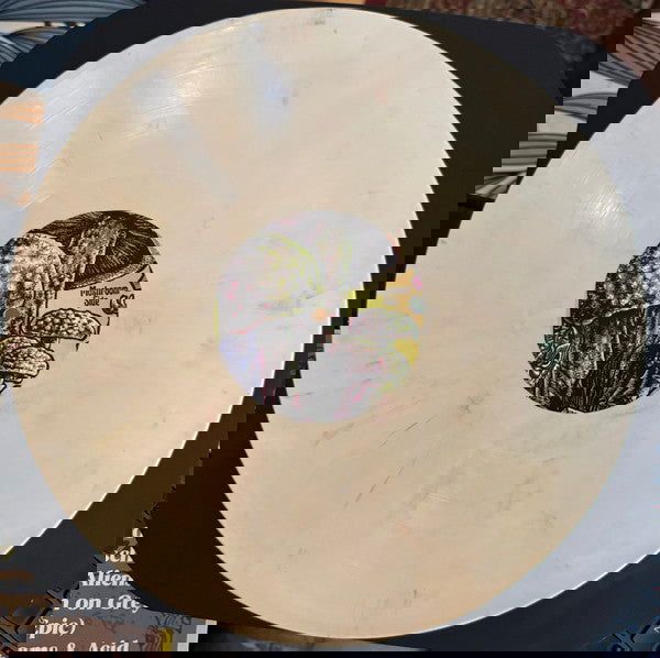 Kool Keith, MC Homeless – Mushrooms And Acid (RSD 2024 Exclusive, Color Vinyl) (LP) - Joco Records