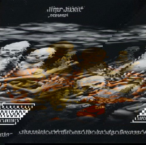 Limp Bizkit - Chocolate Starfish & The Hotdog Flavored Water (Limited Edition, Opaque Grey & Brown Vinyl) (2 LP) - Joco Records