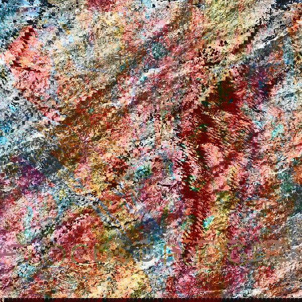 Locust Fudge - Oscillation (Vinyl) - Joco Records