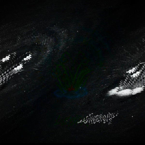 Lucidvox - That's What Remained (Vinyl) - Joco Records