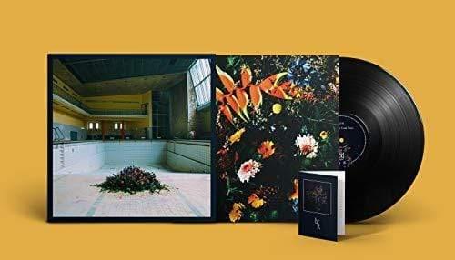 Lyr - Call In The Crash Team (LP) - Joco Records