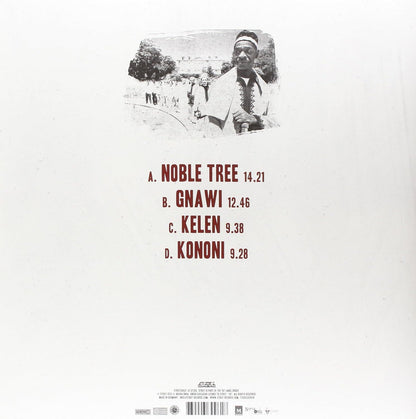 Fanga / Maalem Abdallah Guinea - Fangnawa Experience (2 LP) - Joco Records