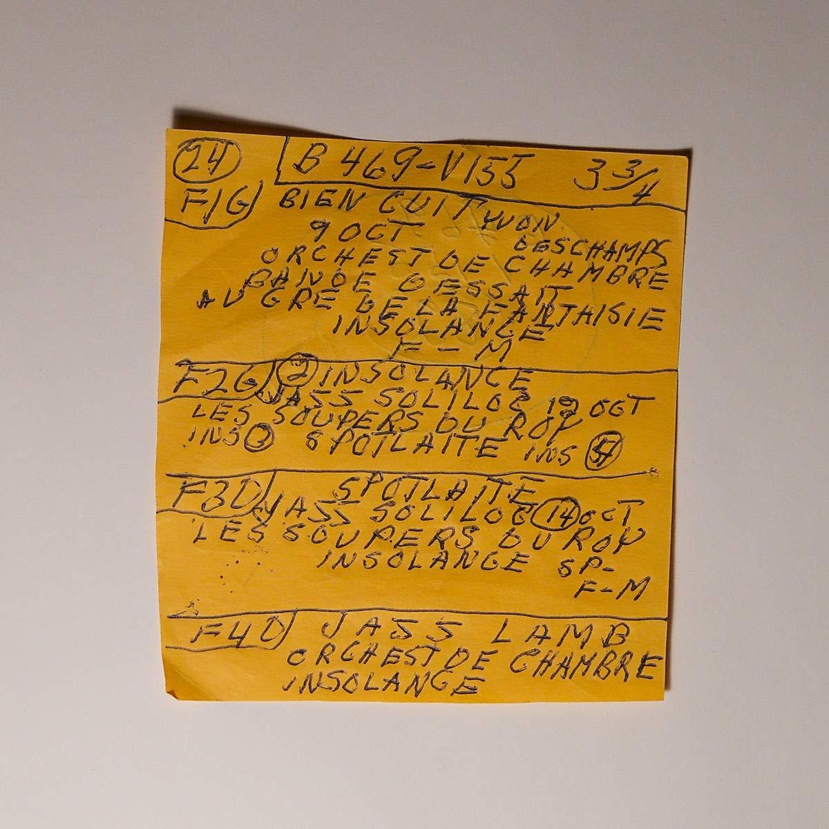 Mac Demarco - Here Comes The Cowboy Demos (LP) - Joco Records