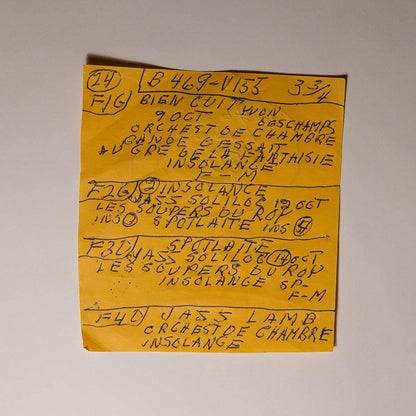 Mac Demarco - Here Comes The Cowboy Demos (LP) - Joco Records