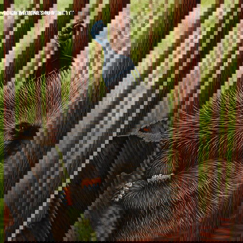 Madlib - Low Budget High Fi Music (2 LP) - Joco Records