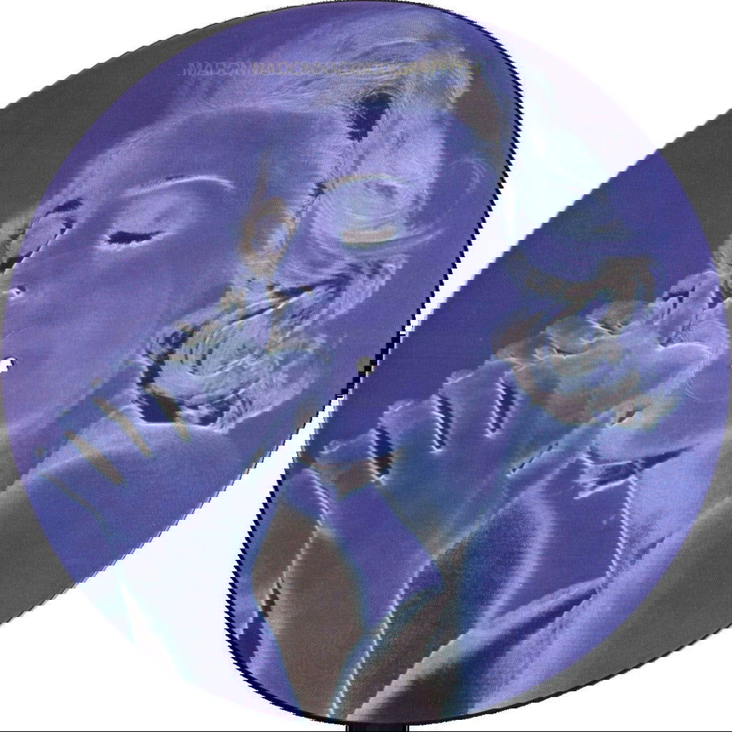 Madonna - Erotica (Limited Edition, Picture Disc) (LP) - Joco Records