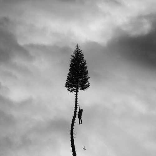 Manchester Orchestra - A Black Mile To The Surface (Gray Marble 2 LP) - Joco Records