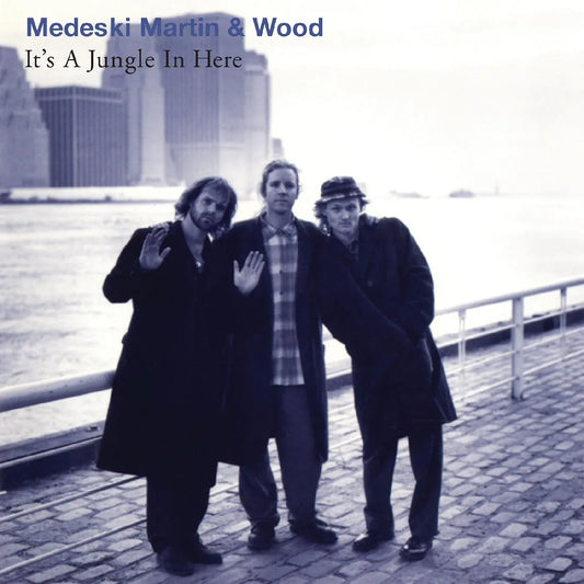 Martin & Wood Medeski - It's A Jungle In Here (Vinyl) - Joco Records