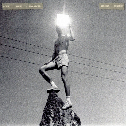 Mount Kimbie - Love What Survives (Vinyl) - Joco Records