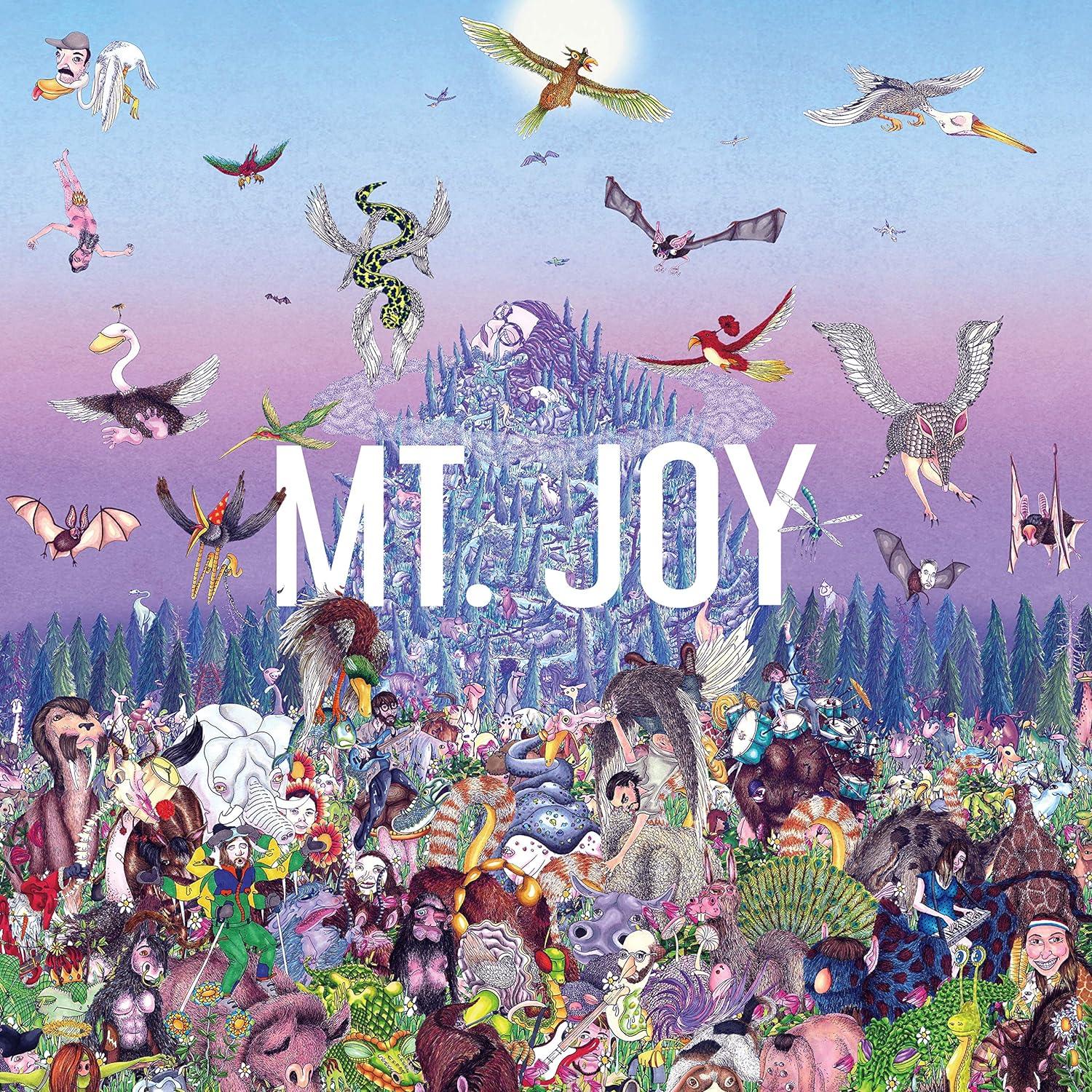 Mt. Joy - Rearrange Us (LP) - Joco Records