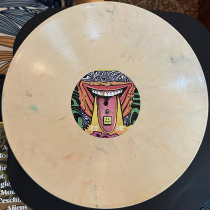 Kool Keith, MC Homeless – Mushrooms And Acid (RSD 2024 Exclusive, Color Vinyl) (LP) - Joco Records