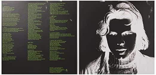 Nick Drake - Pink Moon (Gatefold, 180 Gram) (LP) - Joco Records