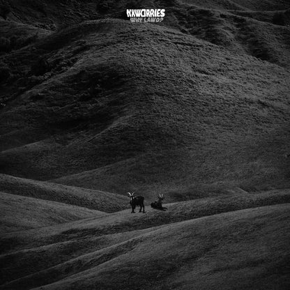 Nxworries - Why Lawd? (Vinyl) - Joco Records