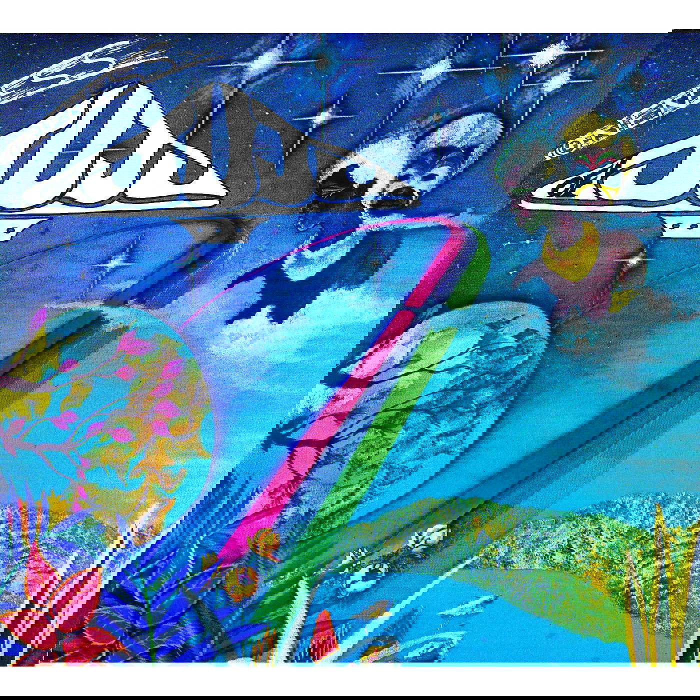 Oneness Of Juju - Space Jungle Luv (LP) - Joco Records