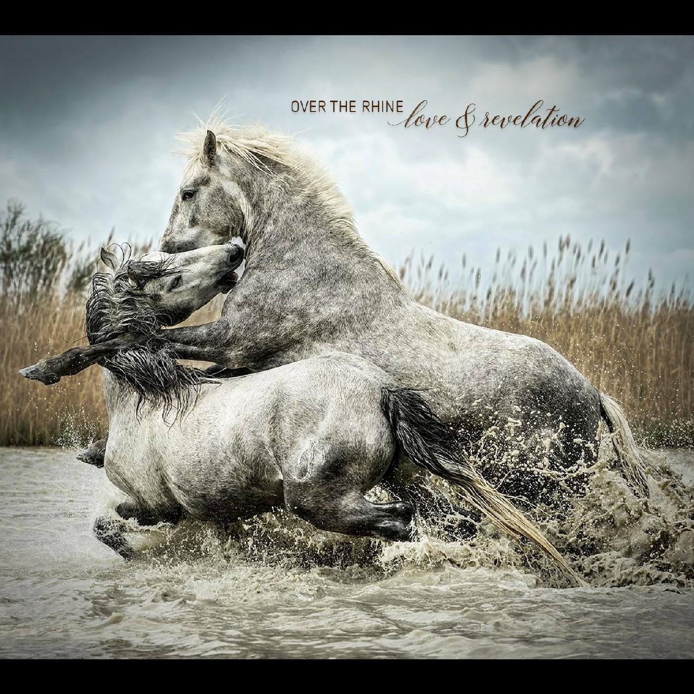 Over The Rhine - Love & Revelation (Vinyl) - Joco Records