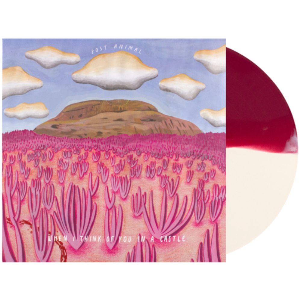 Post Animal - When I Think of You In A Castle (Limited Edition, Cream & Maroon Vinyl) (LP)