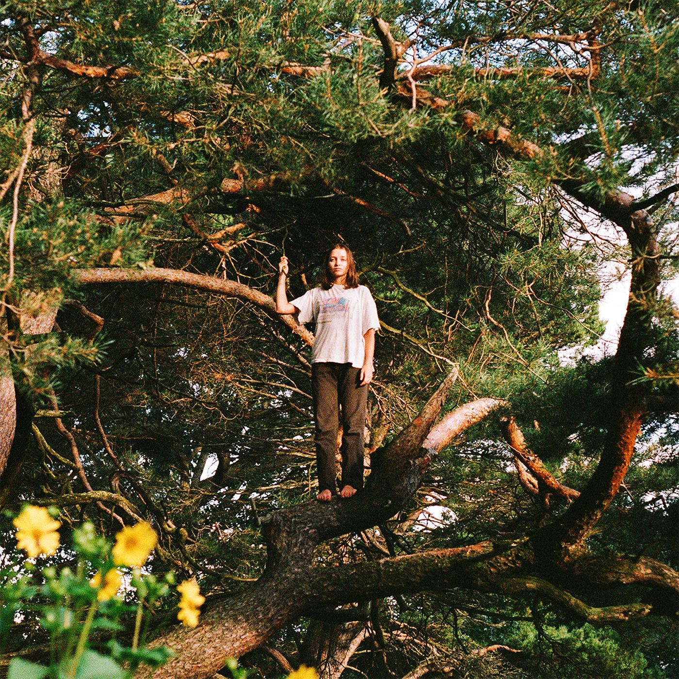 Packs - Melt The Honey (Limited Edition, Gold Vinyl) (LP) - Joco Records