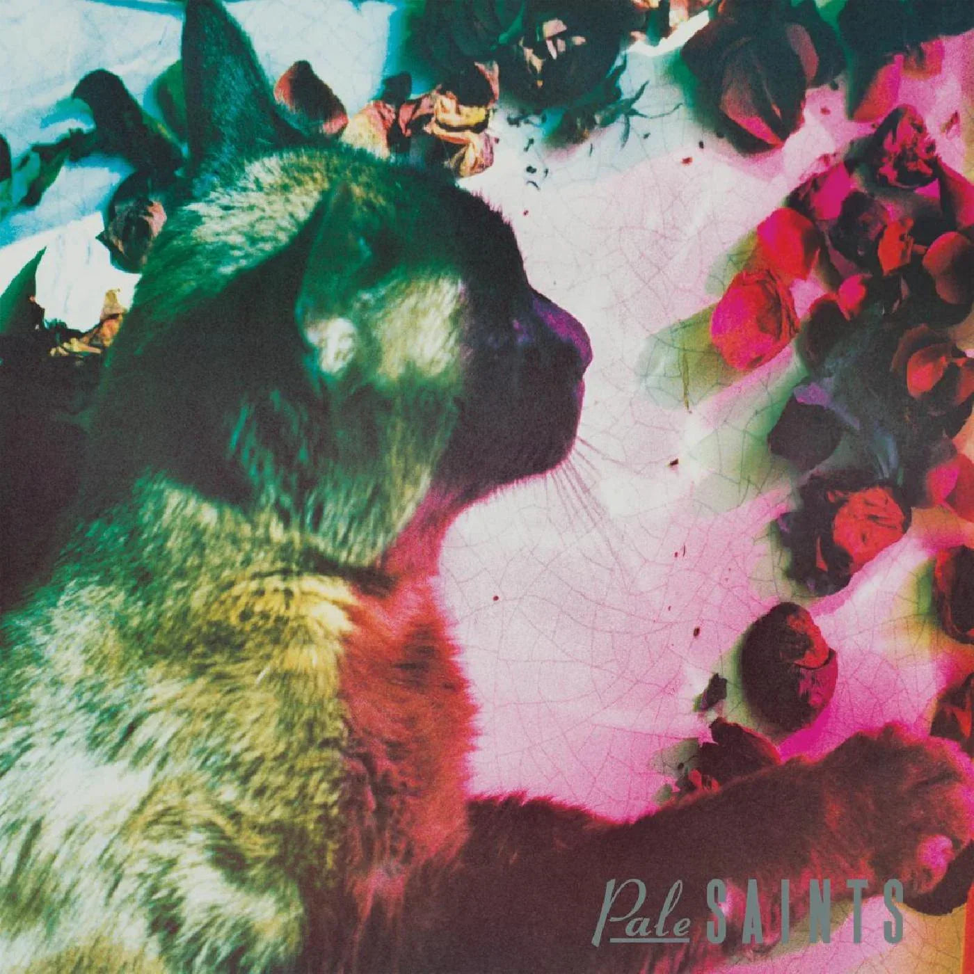 Pale Saints - The Comforts of Madness (30th Anniversary Reissue) (LP) - Joco Records