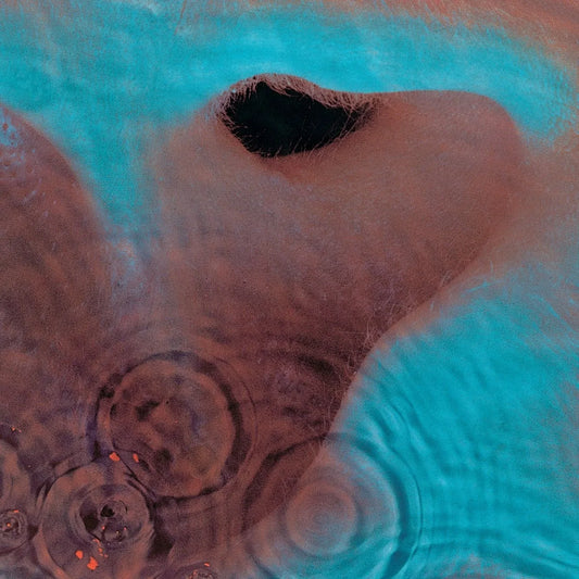 Pink Floyd - Meddle (Remastered, Gatefold, 180 Gram) (LP) - Joco Records