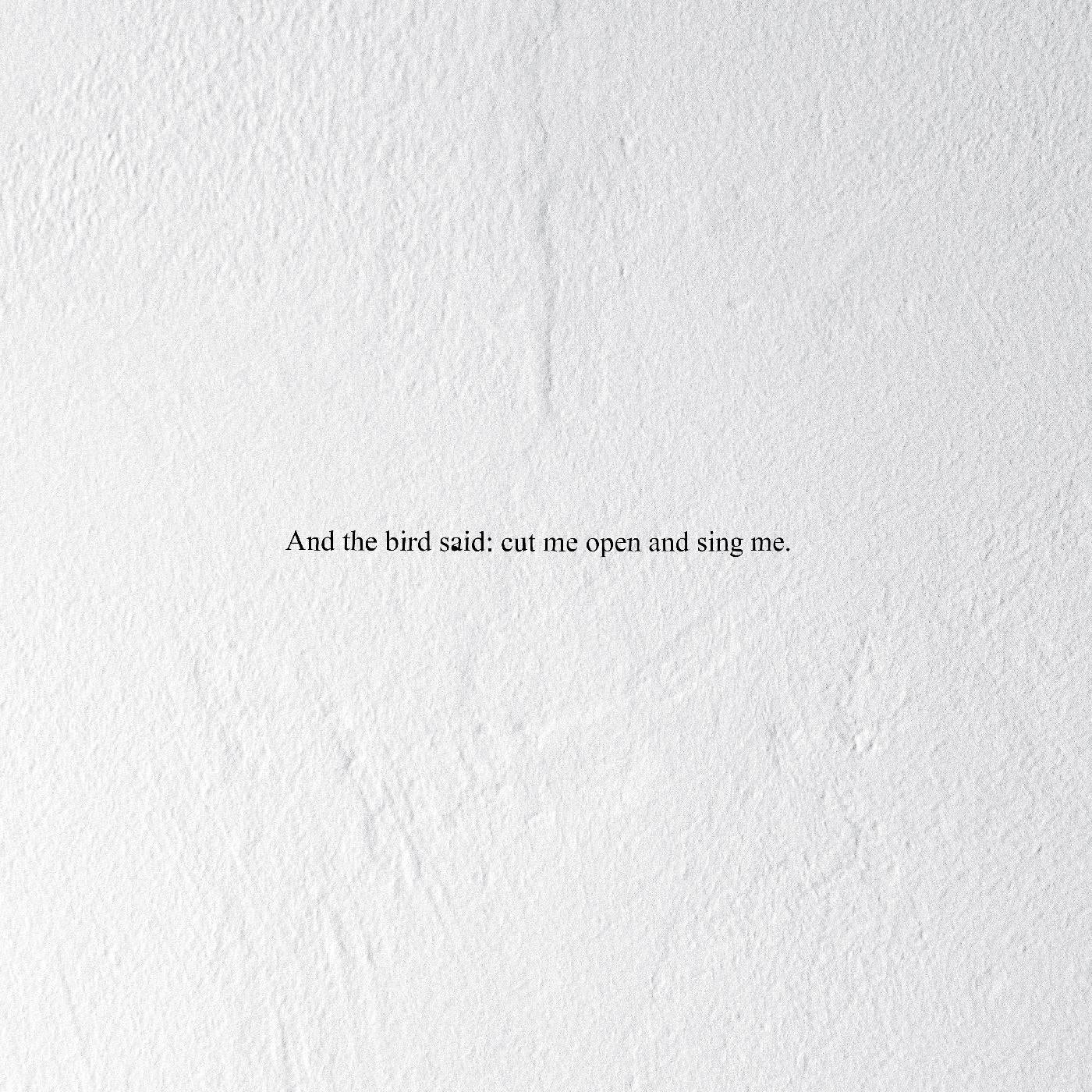 Prairie - And the Bird Said: Cut Me Open and Sing Me (Vinyl) - Joco Records