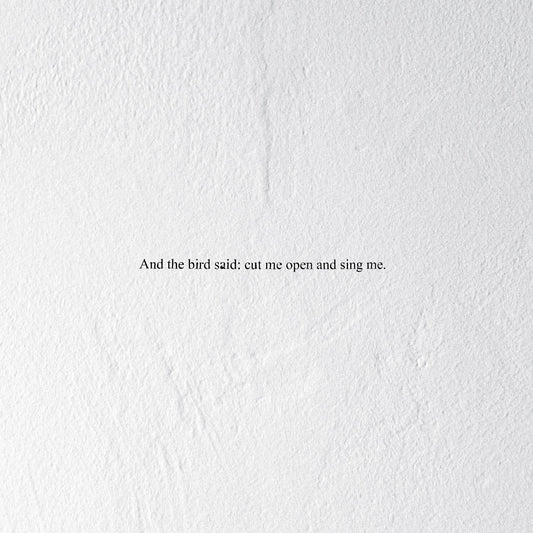 Prairie - And the Bird Said: Cut Me Open and Sing Me (Vinyl) - Joco Records