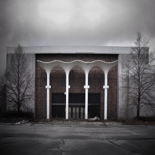 Princess Goes - Thanks For Coming (Vinyl) - Joco Records