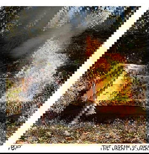 Pup - The Dream Is Over (Milky Clear Color Vinyl) - Joco Records