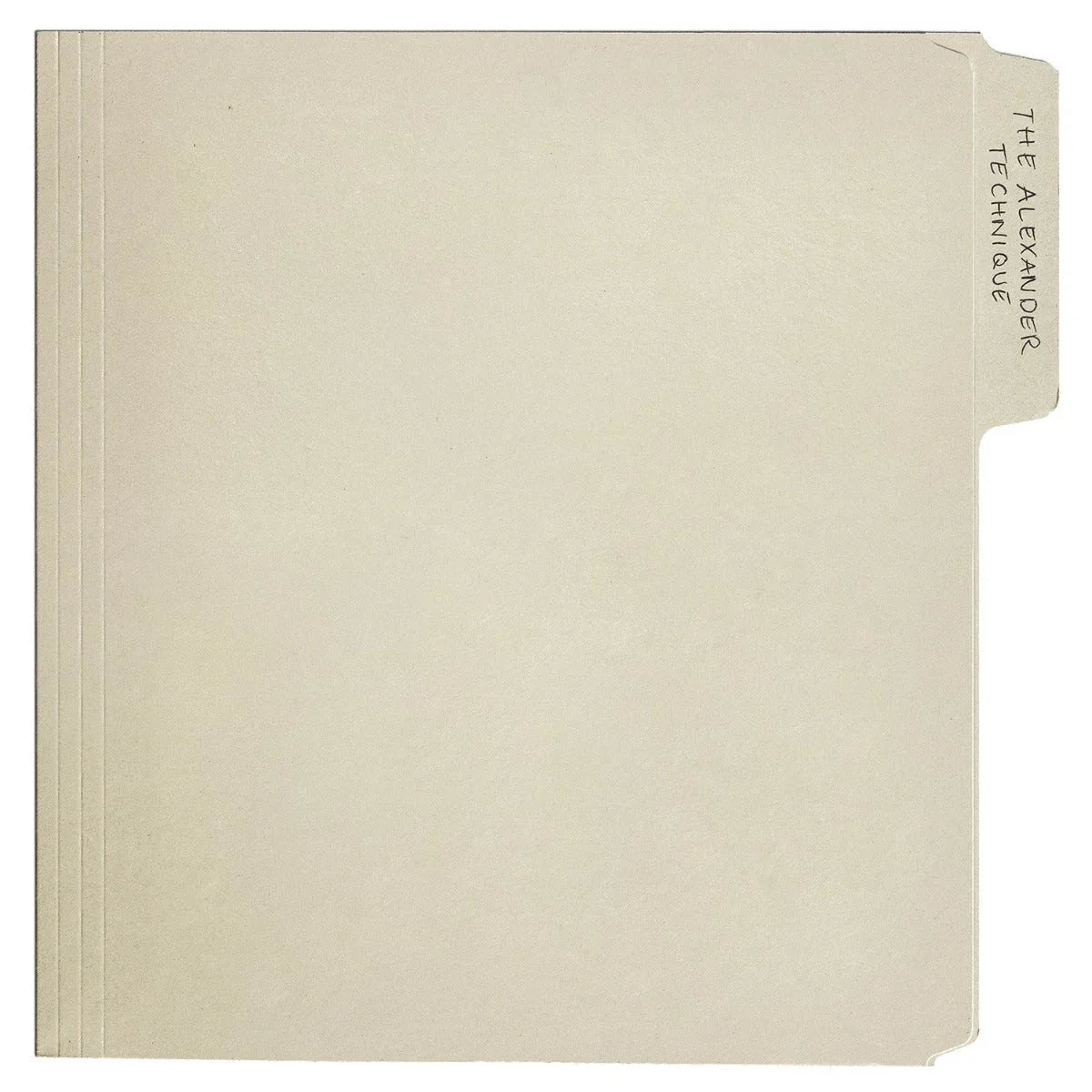 Rex Orange County - The Alexander Technique (Explicit Content) (Gatefold Lp Jacket, Poster) (2 LP) - Joco Records