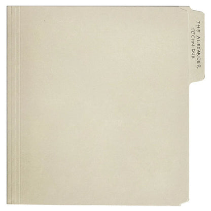 Rex Orange County - The Alexander Technique (Explicit Content) (Gatefold Lp Jacket, Poster) (2 LP) - Joco Records