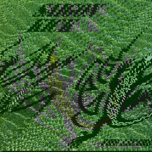 Saigon Kick - The Lizard (LP) - Joco Records