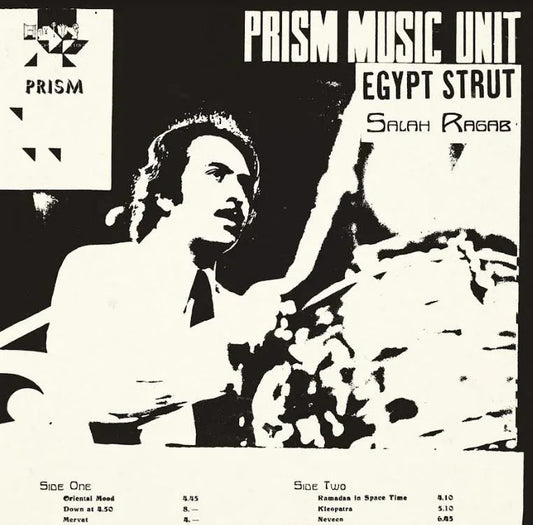 Salah & The Cairo Jazz Band Ragab - Egypt Strut (Vinyl) - Joco Records