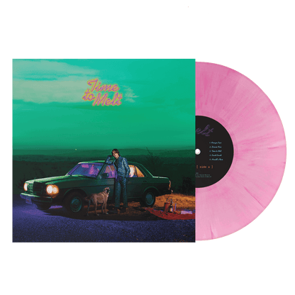 Sam Evian - Time To Melt (Limited, Indie Exclusive, Pink Color Vinyl) (LP) - Joco Records