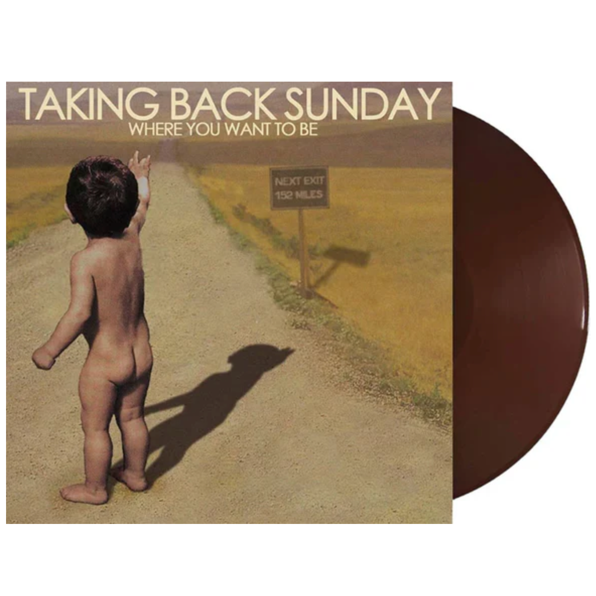 Taking Back Sunday - Where You Want to Be (Indie Exclusive, Brown Vinyl) (LP)