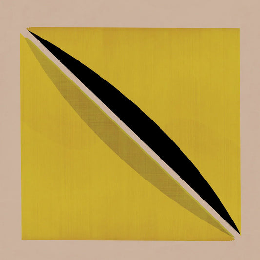 Snow Palms - Origin And Echo (Vinyl) - Joco Records