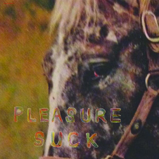 Spirit Of The Beehive - Pleasure Suck (Transparent Orange Vinyl) - Joco Records