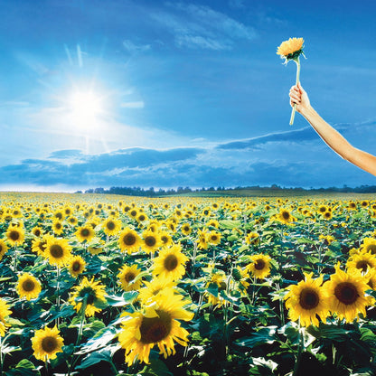 Stone Temple Pilots - Thank You (Rocktober Exclusive, Sky Blue Vinyl) (2 LP) - Joco Records