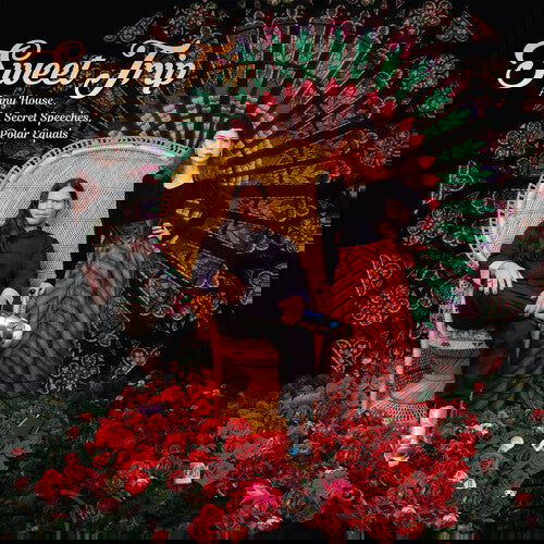 Sweet Trip - A Tiny House, In Secret Speeches, Polar Equals (Cover Option A) (Color Vinyl, Red, Black, Orange) (2 LP) - Joco Records