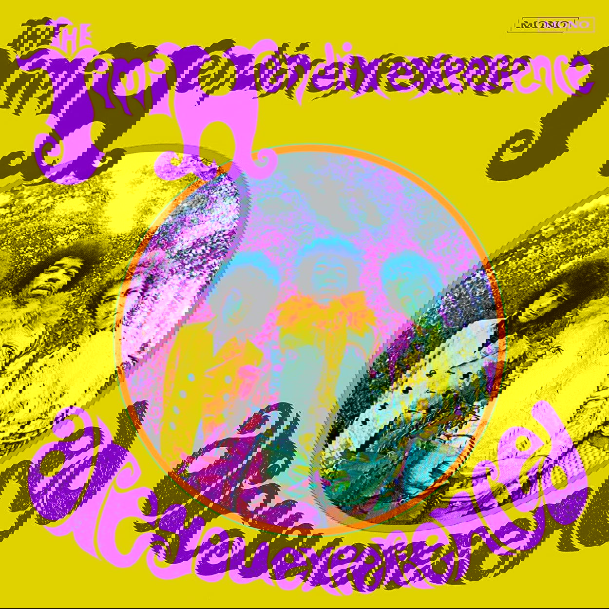 The Jimi Hendrix Experience - Are You Experienced (Mono, Remastered, 180 Gram) (LP) - Joco Records