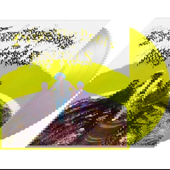 The Maytals - From The Roots (Limited Edition, Yellow & Green Vinyl) (LP) - Joco Records