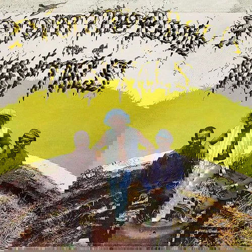 The Maytals - From The Roots (Limited Edition, Yellow & Green Vinyl) (LP) - Joco Records