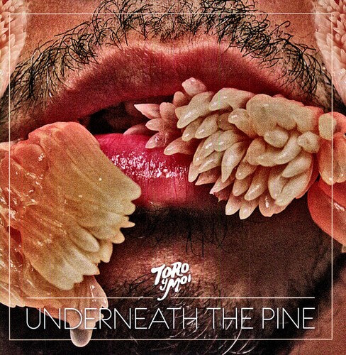 Toro y Moi - Underneath the Pine (Vinyl)