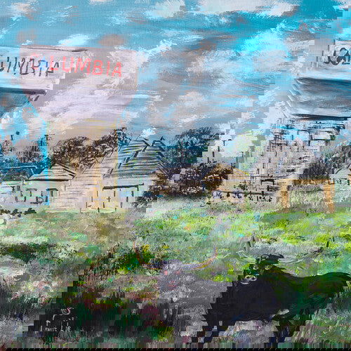 Toro Y Moi - Sandhills (Extended Play)  (Vinyl) - Joco Records