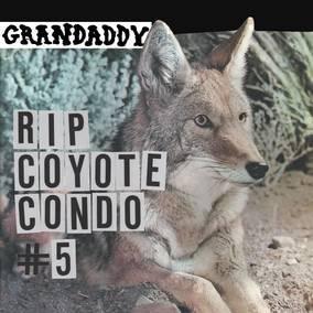 Grandaddy - "Rip Coyote Condo #5" B/W " "The Fox In The Snow" & "In My Room"  (Vinyl) - Joco Records