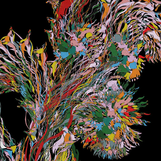 Weval - Remember (Vinyl) - Joco Records