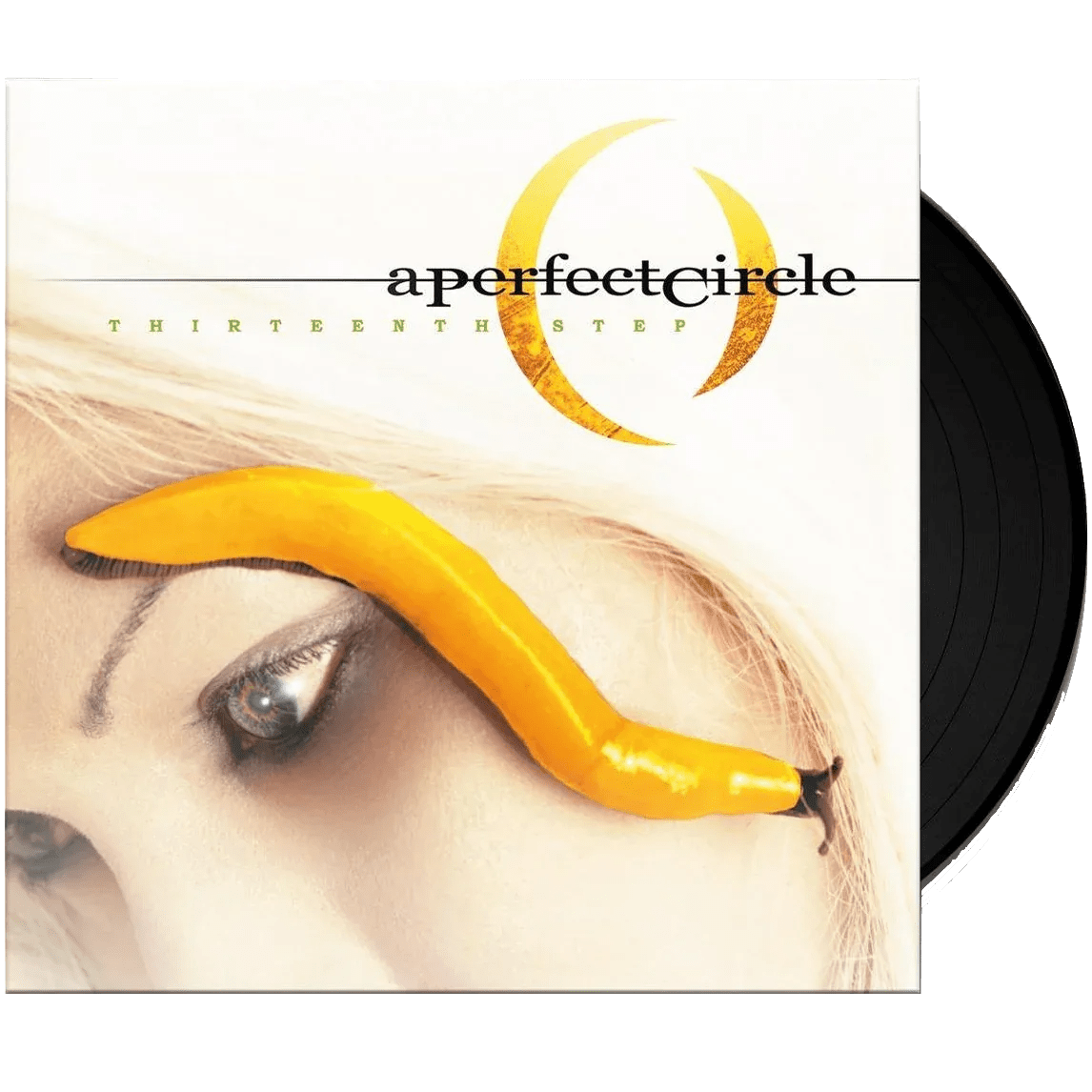 A Perfect Circle - Thirteenth Step (180 Gram) (2 LP) - Joco Records
